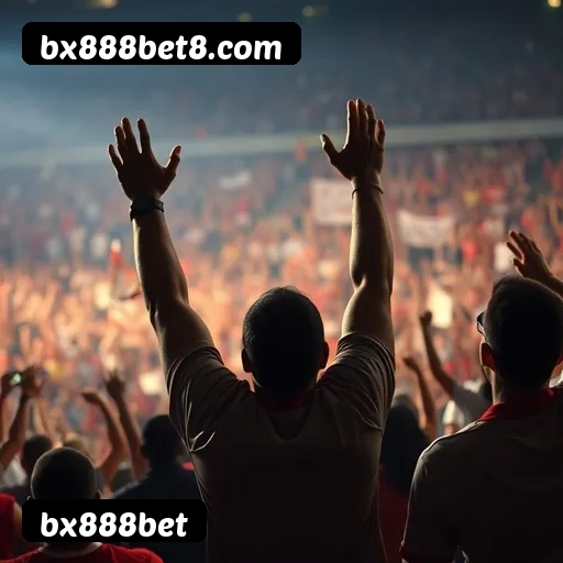 Comparação APP mobile vs versão web da bx888bet