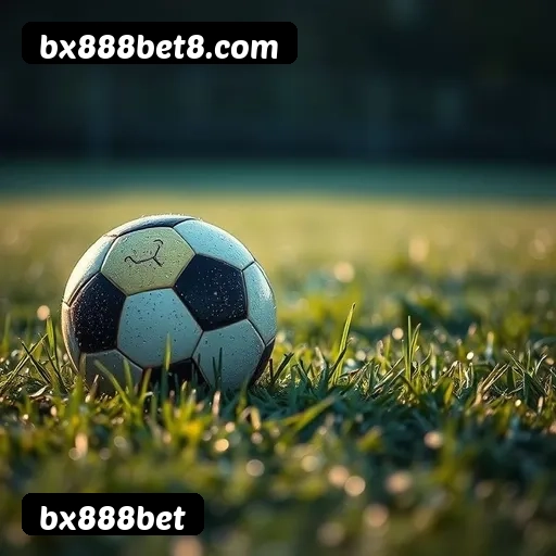 Níveis do programa VIP da bx888bet